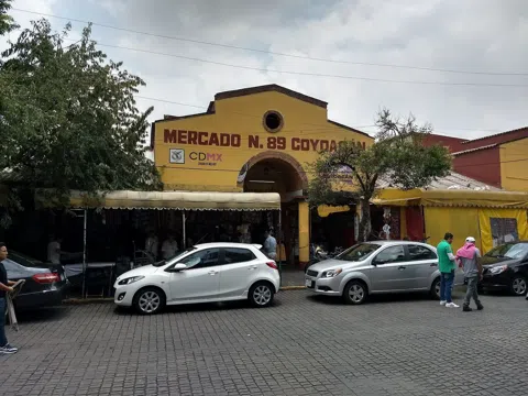 The Villages Inside Mexico City