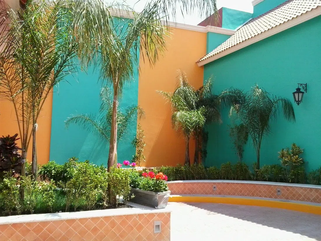 Panana, Mexico City