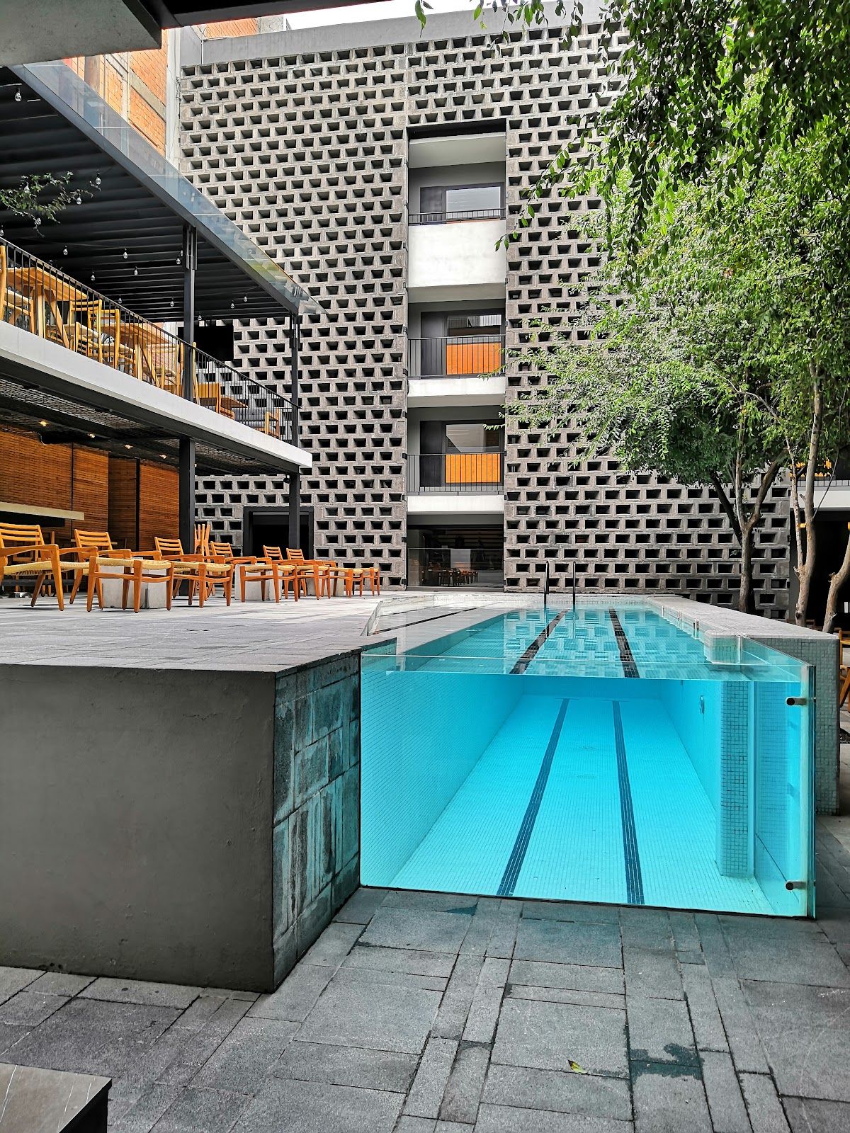 Hotel Carlota — photo 3