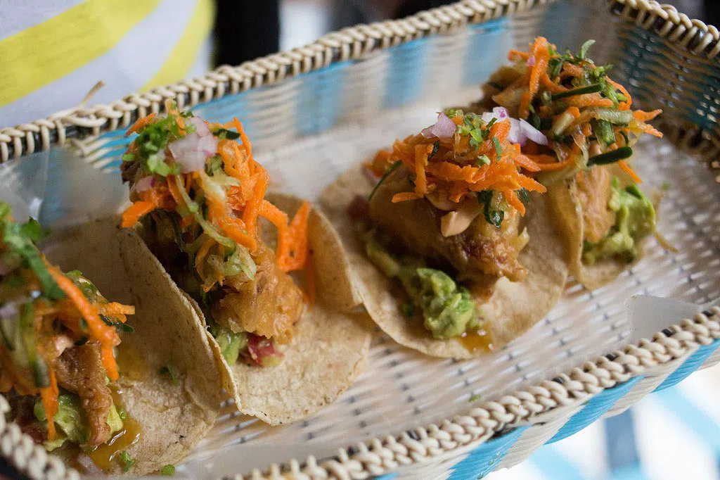 Lucha Libre + Tacos, Beer & Mezcal ('Best Night Ever'), Mexico by