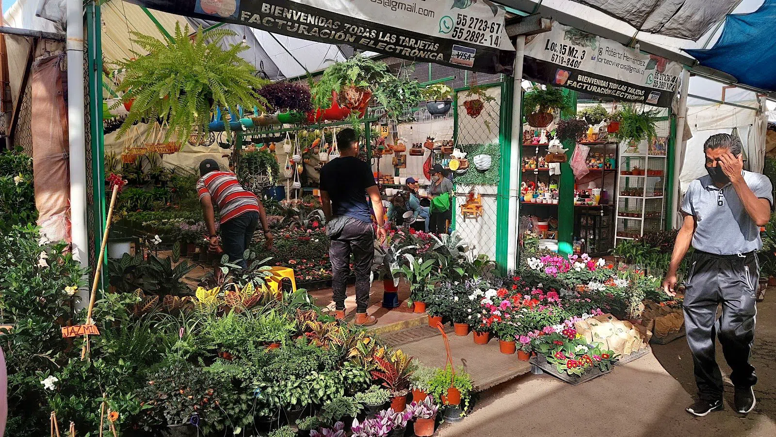 Mercado de Plantas y Flores de Cuemanco, Città del Messico