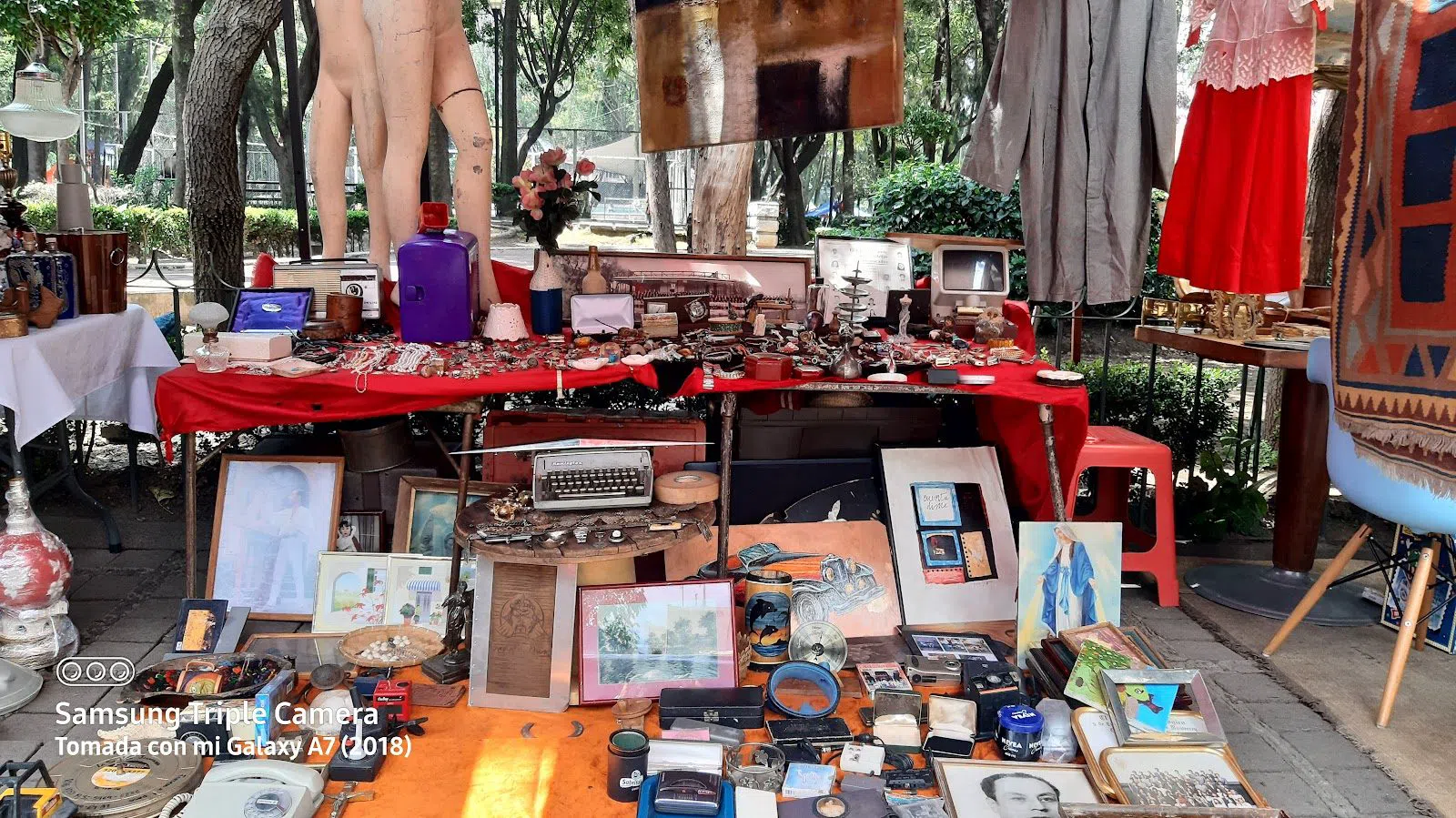 Tianguis de Antigüedades del Jardín Dr. Ignacio Chávez, Città del Messico